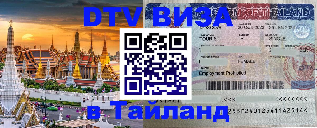 Сколько стоит DTV виза — актуальные цены, оформление даже без документов - Мурманск 